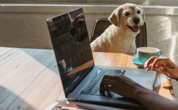By 2025, remote work is the norm. Build a routine to boost productivity, balance, and motivation. Start thriving today!